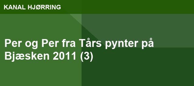 Per og Per fra Tårs pynter på Bjæsken 2011 (3)