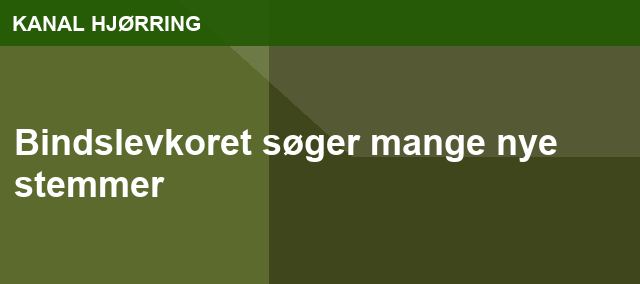 Bindslevkoret søger mange nye stemmer