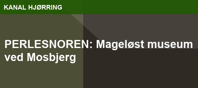 PERLESNOREN: Mageløst museum ved Mosbjerg