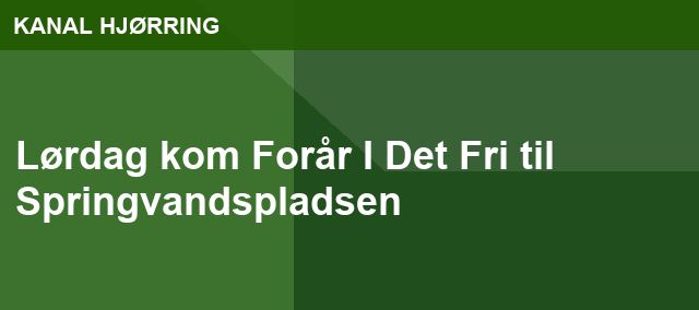 Lørdag kom Forår I Det Fri til Springvandspladsen