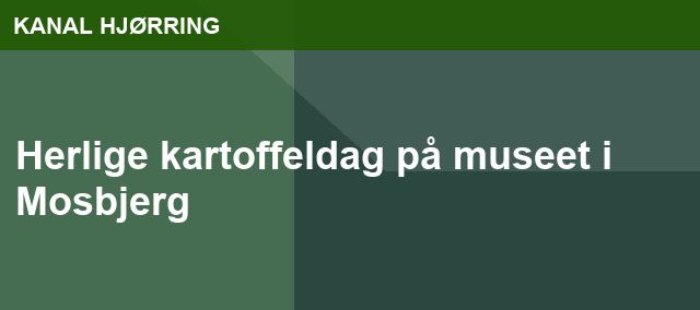 Herlige kartoffeldag på museet i Mosbjerg