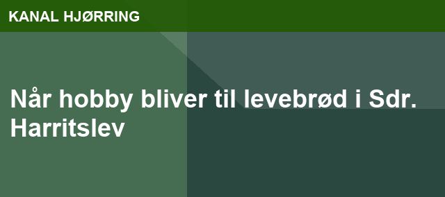 Når hobby bliver til levebrød i Sdr. Harritslev