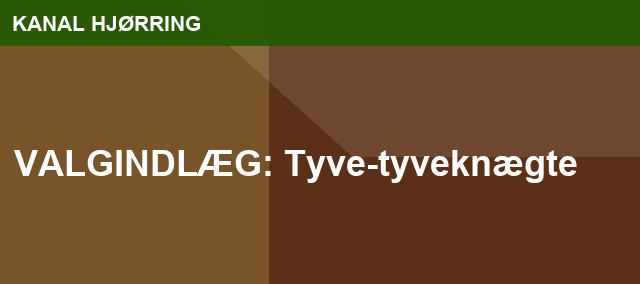 VALGINDLÆG: Tyve-tyveknægte