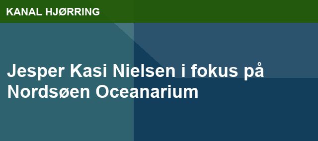 Jesper Kasi Nielsen i fokus på Nordsøen Oceanarium