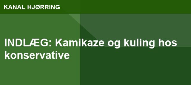 INDLÆG: Kamikaze og kuling hos konservative