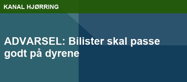 ADVARSEL: Bilister skal passe godt på dyrene