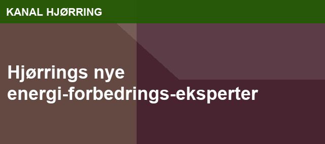 Hjørrings nye energi-forbedrings-eksperter