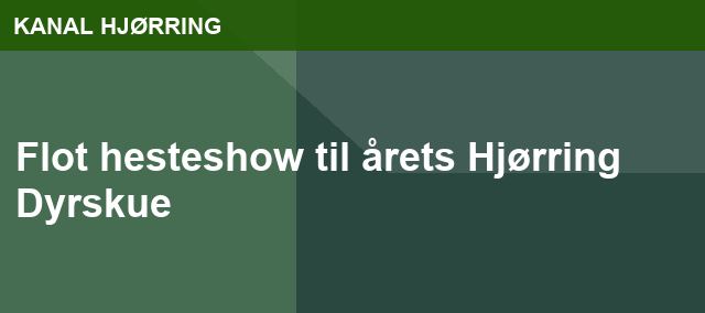 Flot hesteshow til årets Hjørring Dyrskue