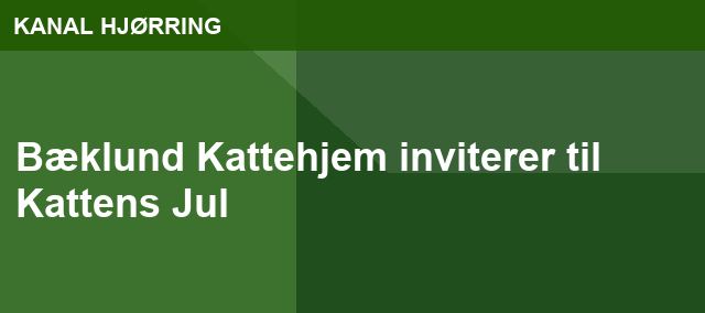 Bæklund Kattehjem inviterer til Kattens Jul