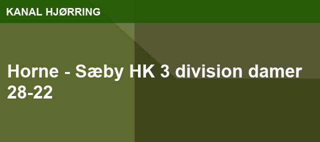 Horne - Sæby HK 3 division damer 28-22