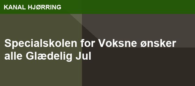 Specialskolen for Voksne ønsker alle Glædelig Jul