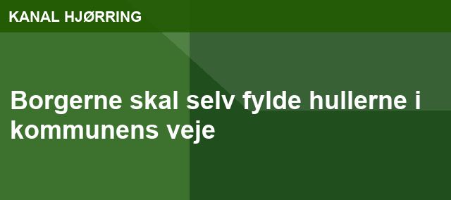 Borgerne skal selv fylde hullerne i kommunens veje