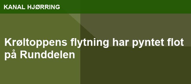 Krøltoppens flytning har pyntet flot på Runddelen