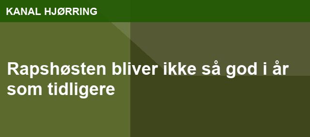 Rapshøsten bliver ikke så god i år som tidligere