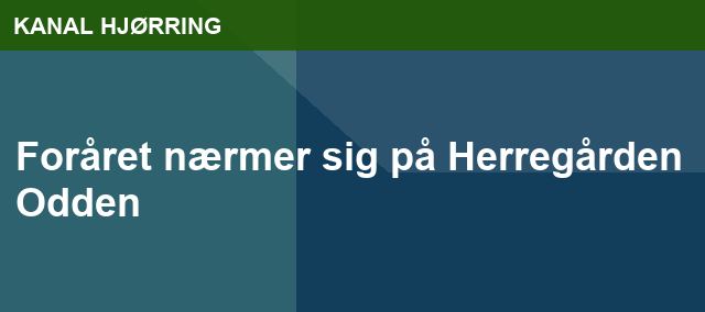 Foråret nærmer sig  på Herregården Odden