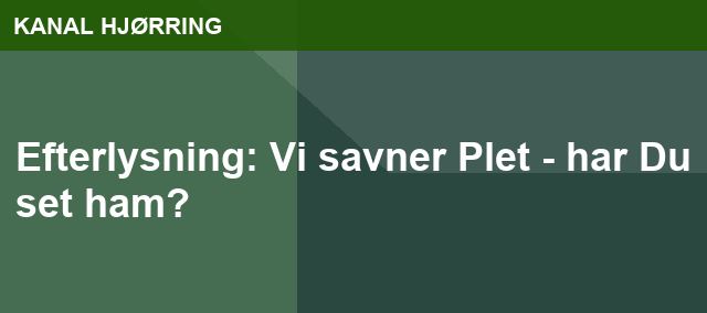 Efterlysning: Vi savner Plet - har Du set ham?