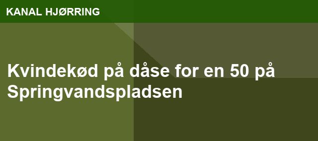 Kvindekød på dåse for en 50 på Springvandspladsen