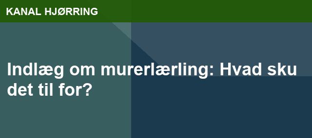 Indlæg om murerlærling: Hvad sku det til for?