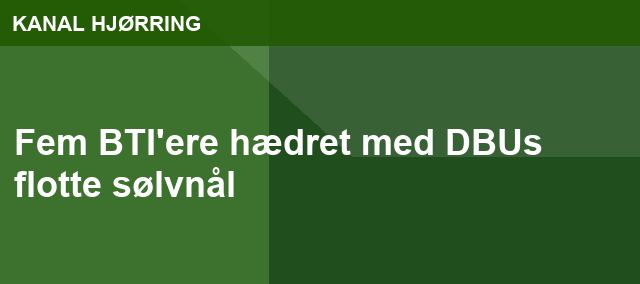 Fem BTI'ere hædret med DBUs flotte sølvnål