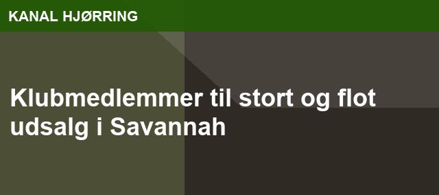 Klubmedlemmer til stort og flot udsalg i Savannah