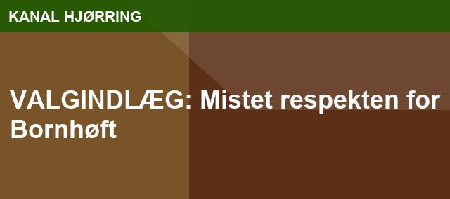 VALGINDLÆG: Mistet respekten for Bornhøft