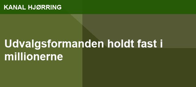 Udvalgsformanden holdt fast i millionerne