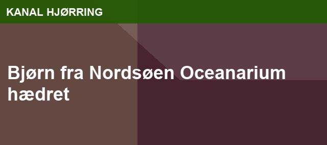 Bjørn fra Nordsøen Oceanarium hædret