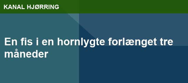 En fis i en hornlygte forlænget  tre måneder
