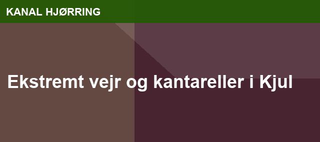 Ekstremt vejr og kantareller i Kjul