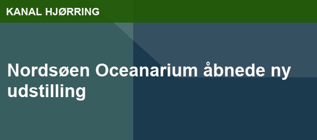 Nordsøen Oceanarium åbnede ny udstilling