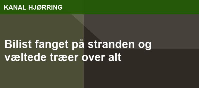 Bilist fanget på stranden og væltede træer over alt